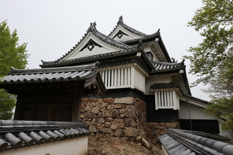 sIMG_0660