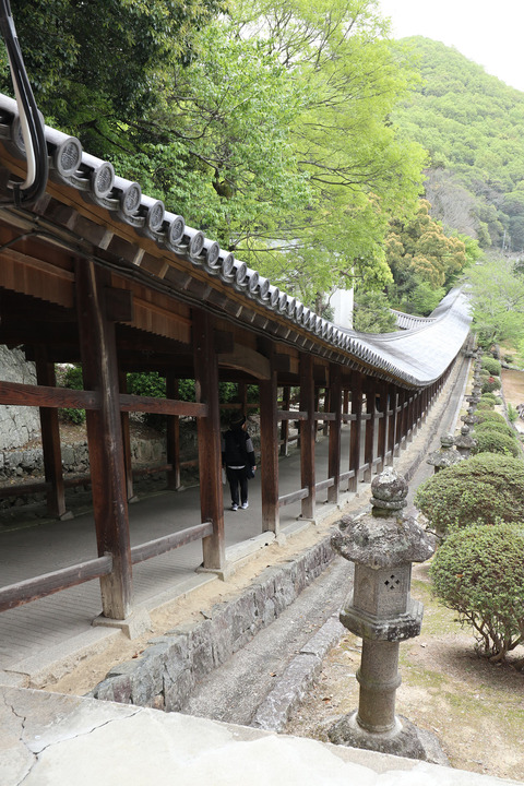 sIMG_0593