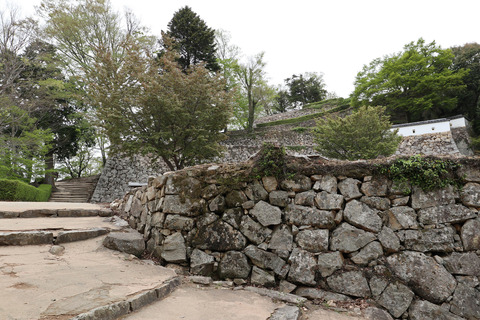 sIMG_0627