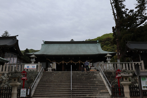 sIMG_0541