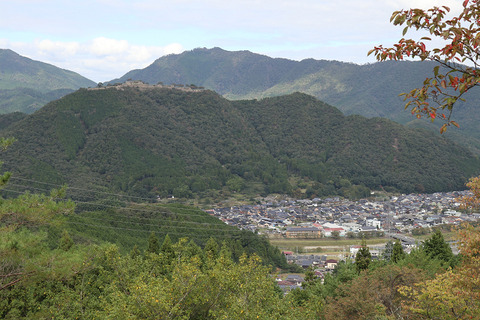 sIMG_3365