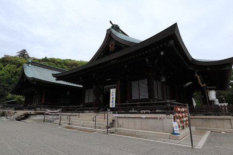 sIMG_0547