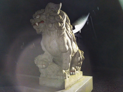 o4128309614690516904