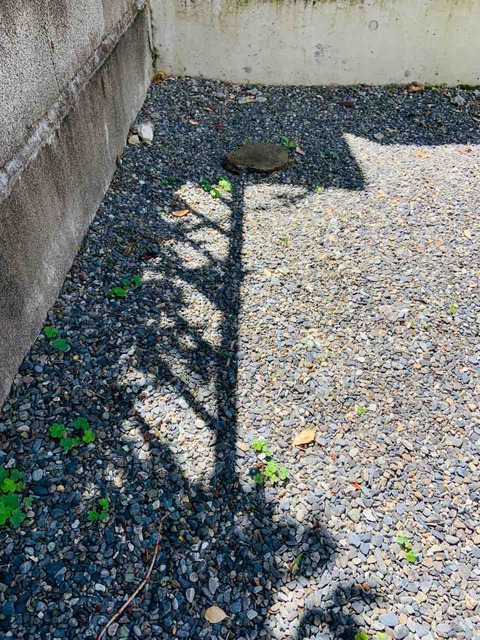 FullSizeRender