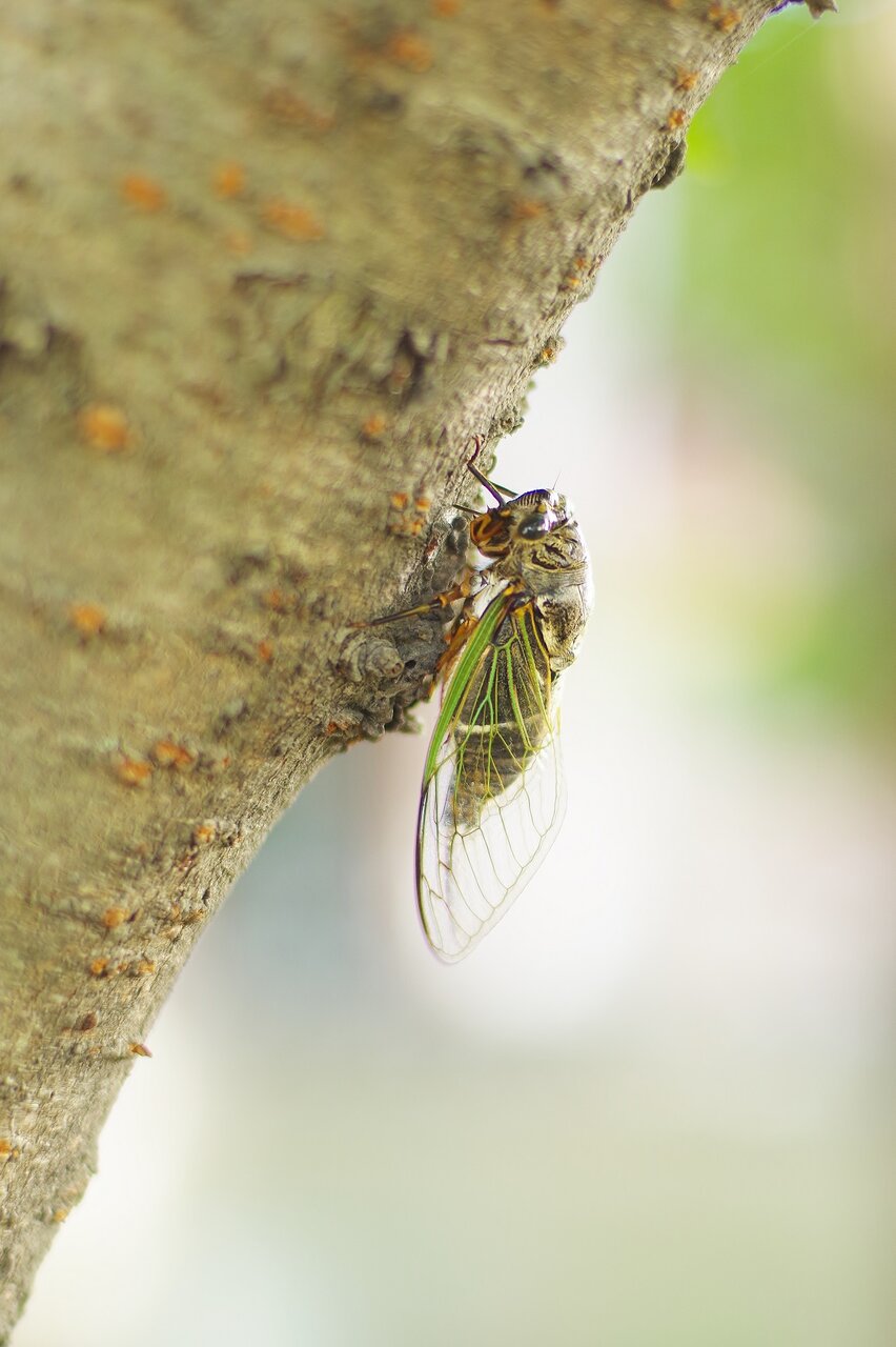 現人神社 那珂川田舎百景 現人神社 那珂川田舎百景