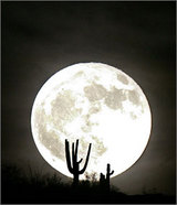 moon