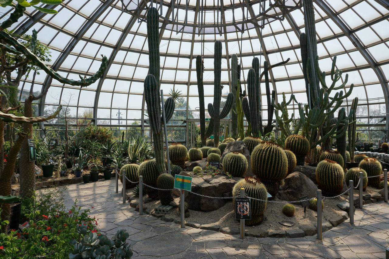 この春は 植物園あっちこち 万事機嫌良く