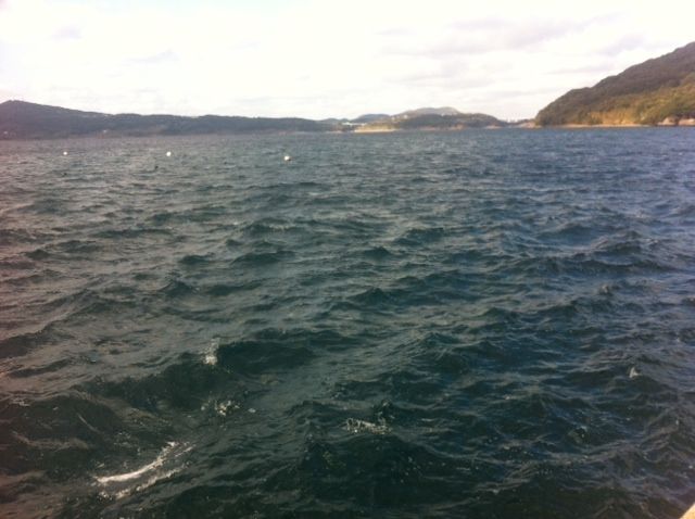 釣り禁止は噂なのか本当か グッド ポジション フィッシング In 平戸 Good Position Fishing