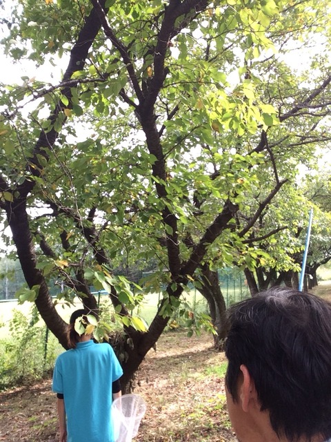 2014-10-10-13-29-27