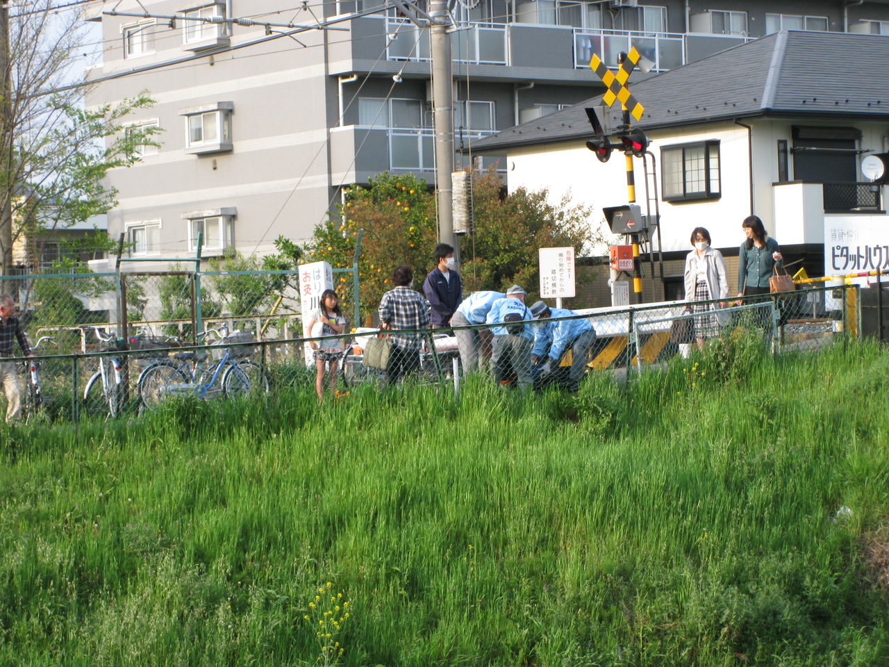ある日の武里団地(2012.9.10タイトル変更 2010.5.15スタート) : ある日の団地…事件
