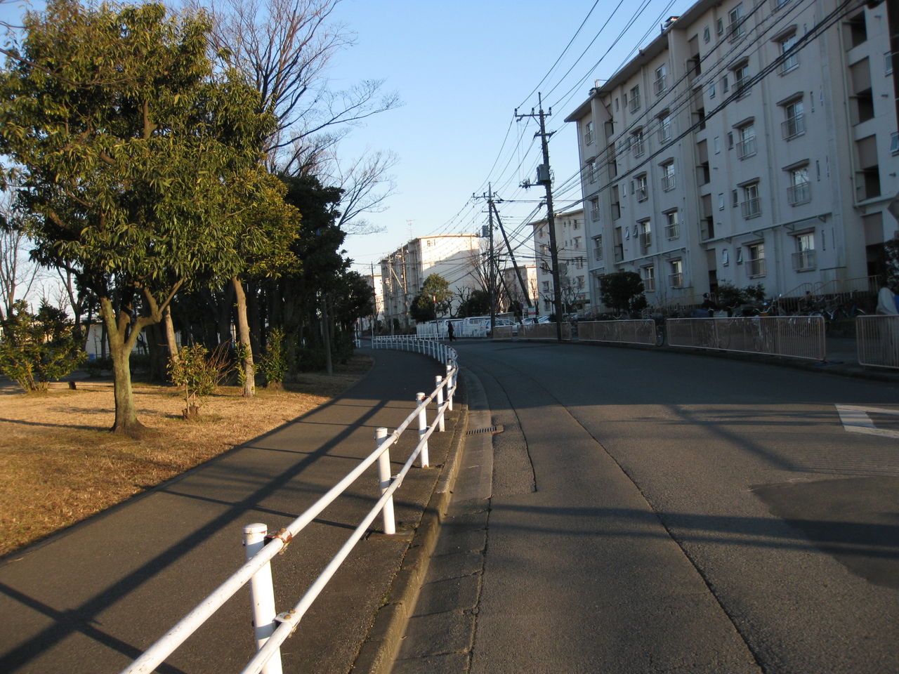 ある日の武里団地（2012．9．10タイトル変更 2010．5．15スタート） : 冬枯れの武里団地…交番跡地を中心に