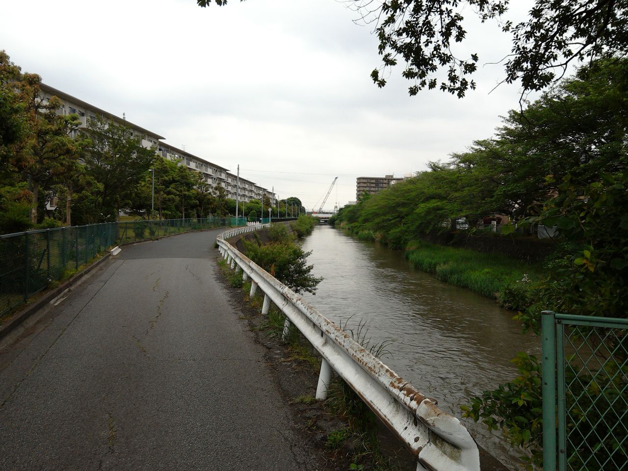ある日の武里団地（2012．9．10タイトル変更 2010．5．15スタート） : 田植えの時期で新方川は水量豊富です。