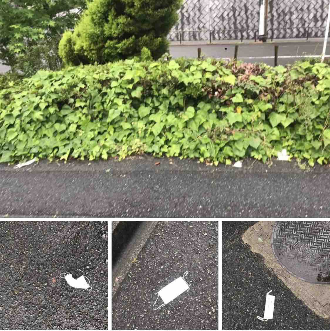 センセ 家では大型犬 ひとりごと センセ 家では大型犬 ひとりごと