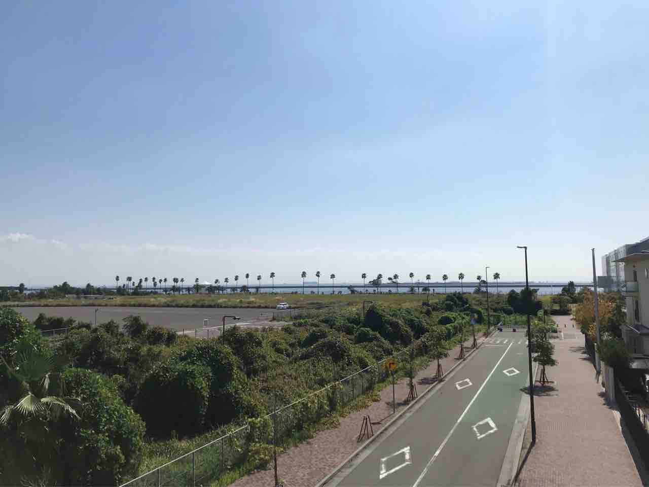 海を見ていた午後 六甲アイランド南公園 センセ 家では大型犬 海を見ていた午後 六甲アイランド南公園 センセ 家では大型犬
