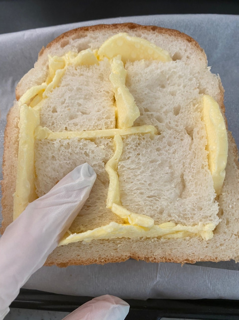 o1078144014888419233