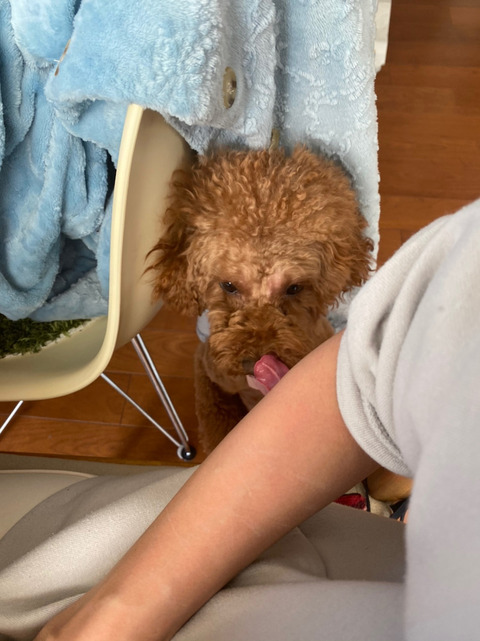 o1078144014888419248