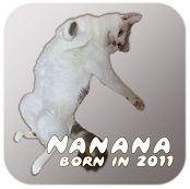 nanana_logo_small