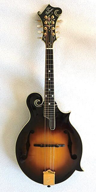 【値下げ！】Gibson ビンテージ マンドリン ペグ 1900〜1910年代 Mandolins Archives - Vintage Instruments