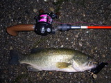 RIMG0368