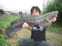 CIMG0996