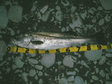 PC090357_01
