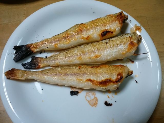 キス料理 自宅編 イッちゃんの釣り日誌 キス料理 自宅編 イッちゃんの釣り日誌