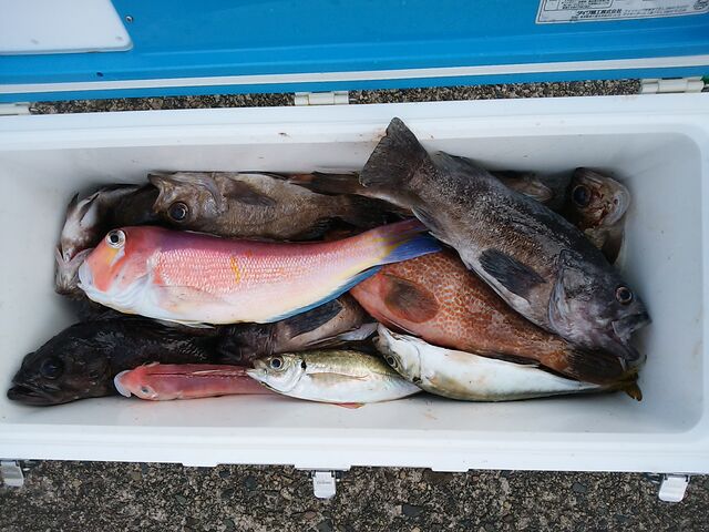 藤義丸　シルバー　金槌 第二藤義丸で食材調達！ : イッちゃんの釣り日誌