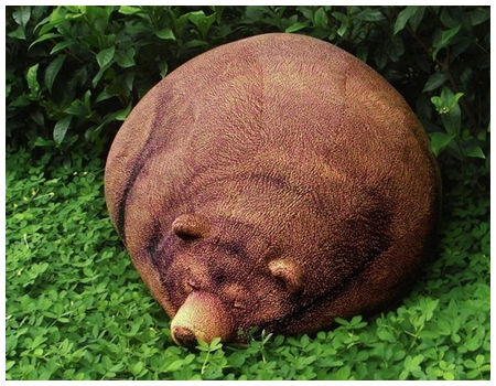 くまクッションタイトル