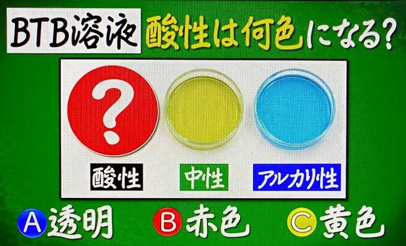 問題 クイズ あなたは小学5年生より賢いの 1 29 その２ アッキーのブログです 34歳です Akb34