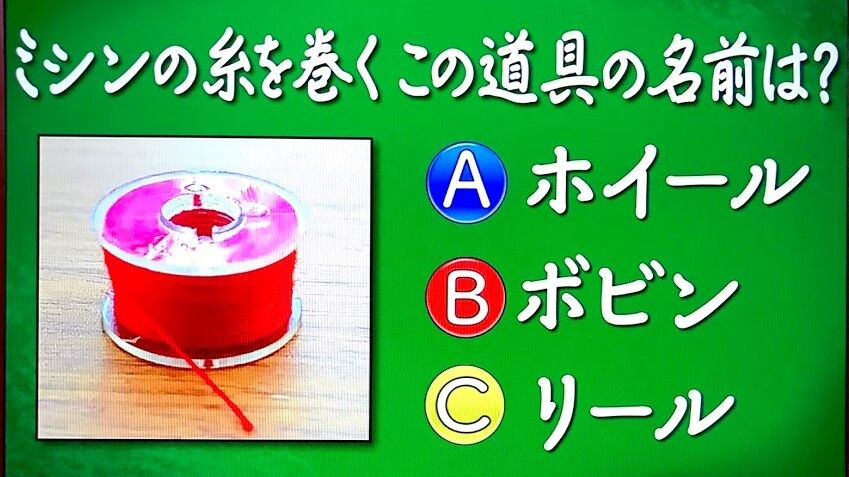 アッキーのブログです。36歳です。(AKB36)2020年07月08日【解答】クイズ　あなたは小学5年生より賢いの？(1/31)その２【問題】クイズ　あなたは小学5年生より賢いの？(2/7)その１【解答】クイズ　あなたは小学5年生より賢いの？(1/31)その１