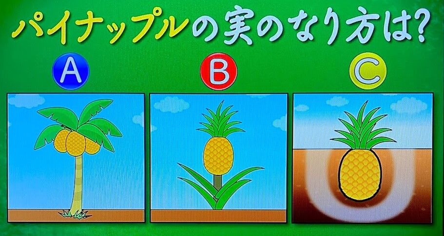 問題 クイズ あなたは小学5年生より賢いの 1 15 その１ アッキーのブログです 34歳です Akb34