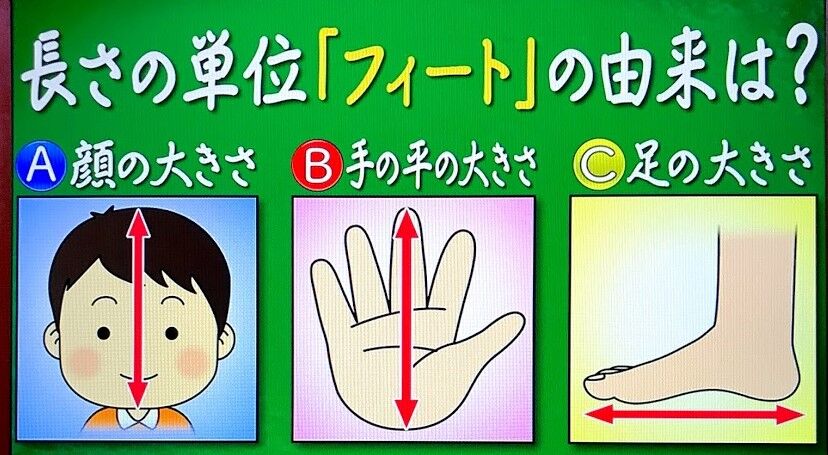 問題 クイズ あなたは小学5年生より賢いの 1 24 その２ アッキーのブログです 35歳です Akb35