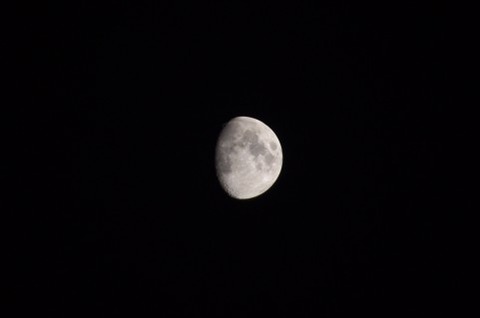 夜