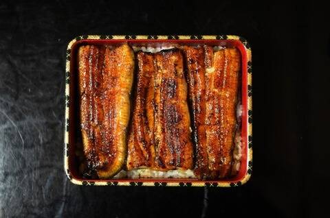 鰻