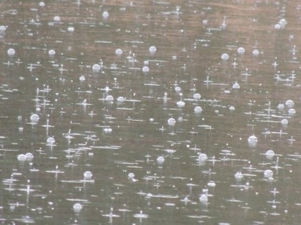 大雨なんで