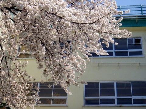 学校