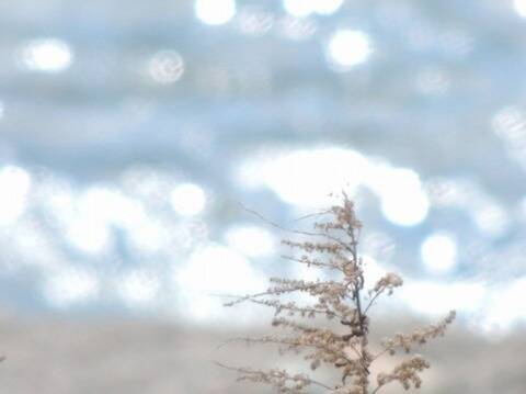 20年後JK「ねーねーママがJKだった頃の写真見せてよ！」母「・・・」