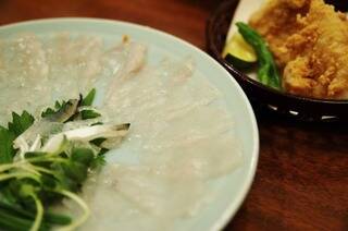 河豚