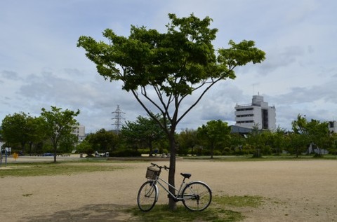 自転車