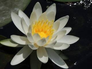 友達の