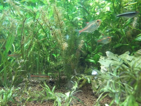 水道料金