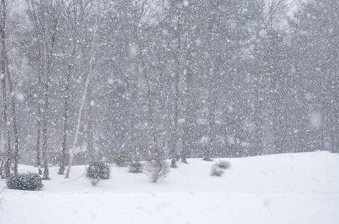 雪で会社に