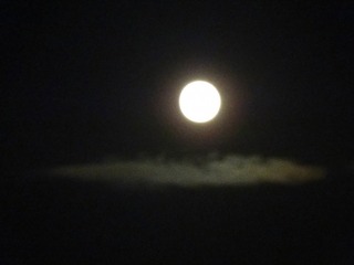 夜更かし