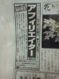 朝日新聞広告