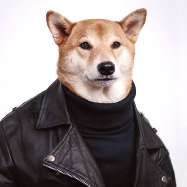 朗報 子供がまだ食ってる途中でしょうがーヌ 発見されるｗｗｗｗｗｗｗ 朗報まとめ ５ちゃんねるまとめブログ