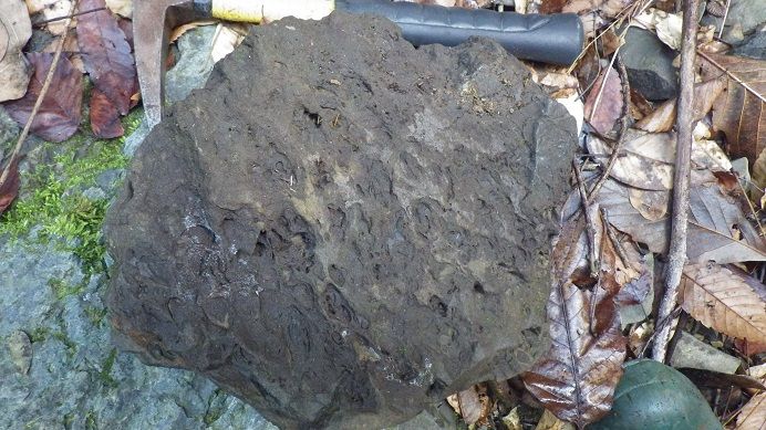 石になる地のふしぎ:転石を確認