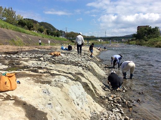 石になる地のふしぎ 第269回例会 岐阜 2日目 石になる地のふしぎ 第269回例会 岐阜 2日目