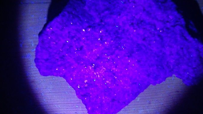 石になる地のふしぎ 灰重石 石になる地のふしぎ 灰重石