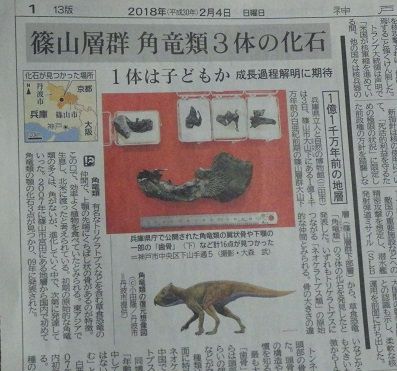 石になる地のふしぎ 角竜類の化石 石になる地のふしぎ 角竜類の化石