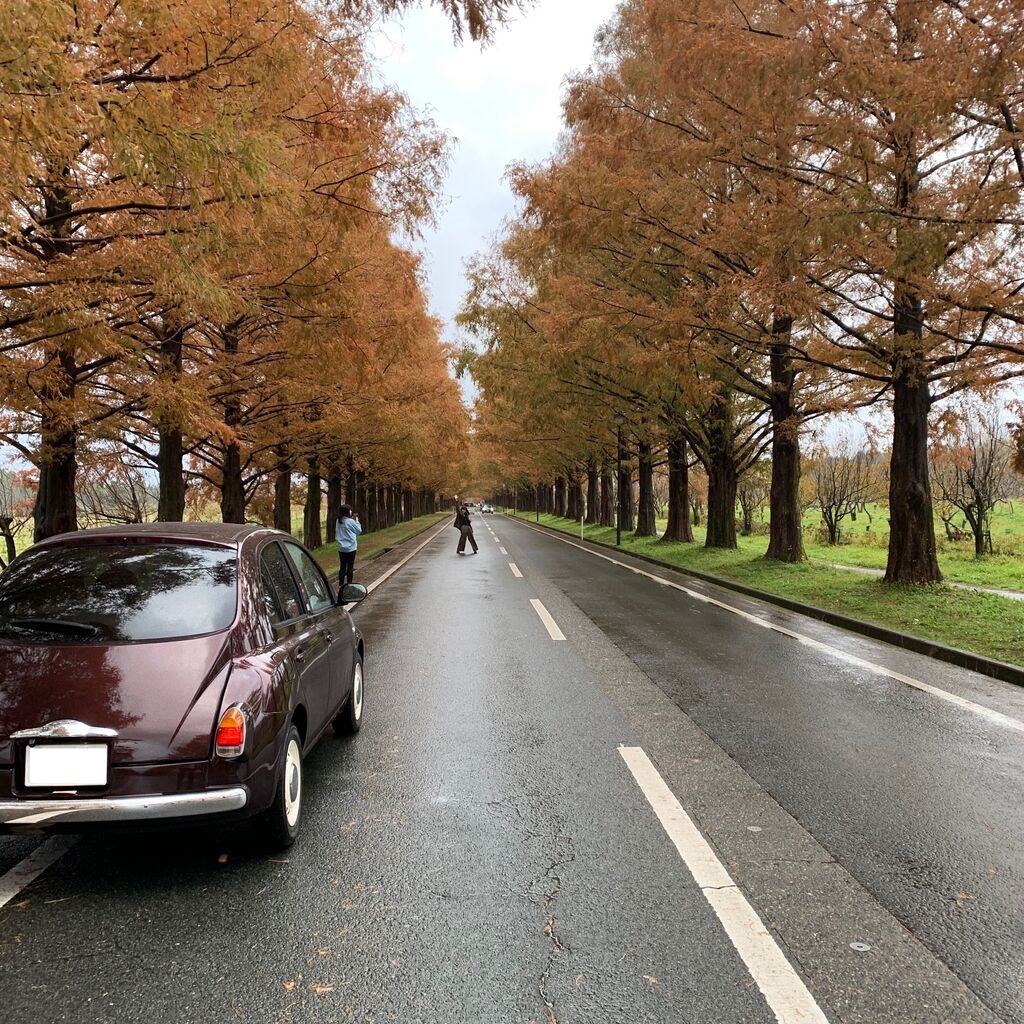 愛車撮影ドライブ ブログ レトロでかわいいお洒落な国産車の専門店 Goodwoodparkｸﾞｯﾄﾞｳｯﾄﾞﾊﾟｰｸ 愛知県小牧市